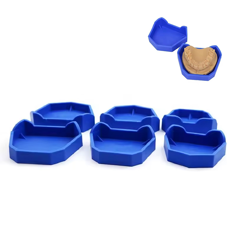Teeth Whitening Trays - 2/6Pcs Dental Model Base Silicon Plaster