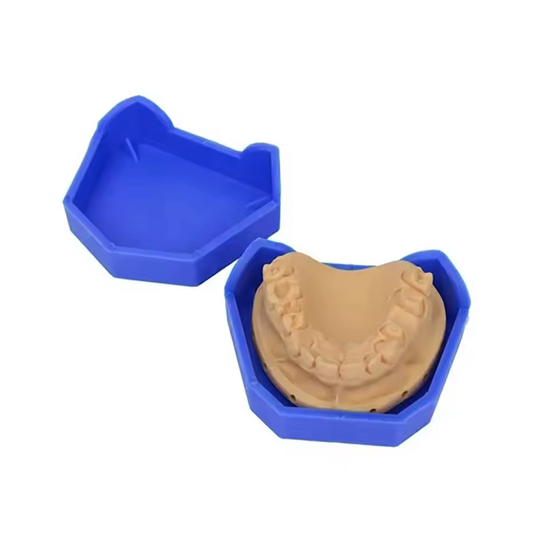 2/6Pcs Dental Model Base Silic - Teeth Whitening Trays review and price