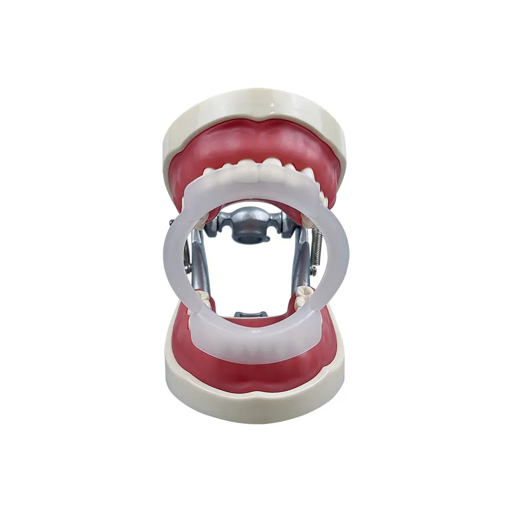 100pcs/bag Dental O-Shape Intr - Teeth Whitening For Braces review and price