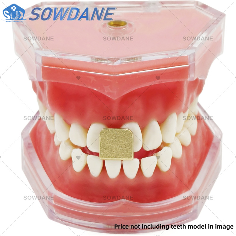 Dental Lab Impression Trays to - Teeth Whitening Trays review and price