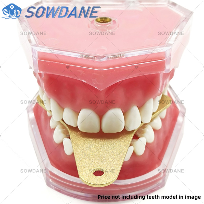 Dental Lab Impression Trays to - Teeth Whitening Trays review and price