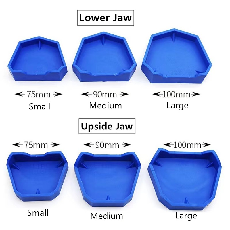 6pcs/set Dental Model Base Sil - Teeth Whitening Trays review and price