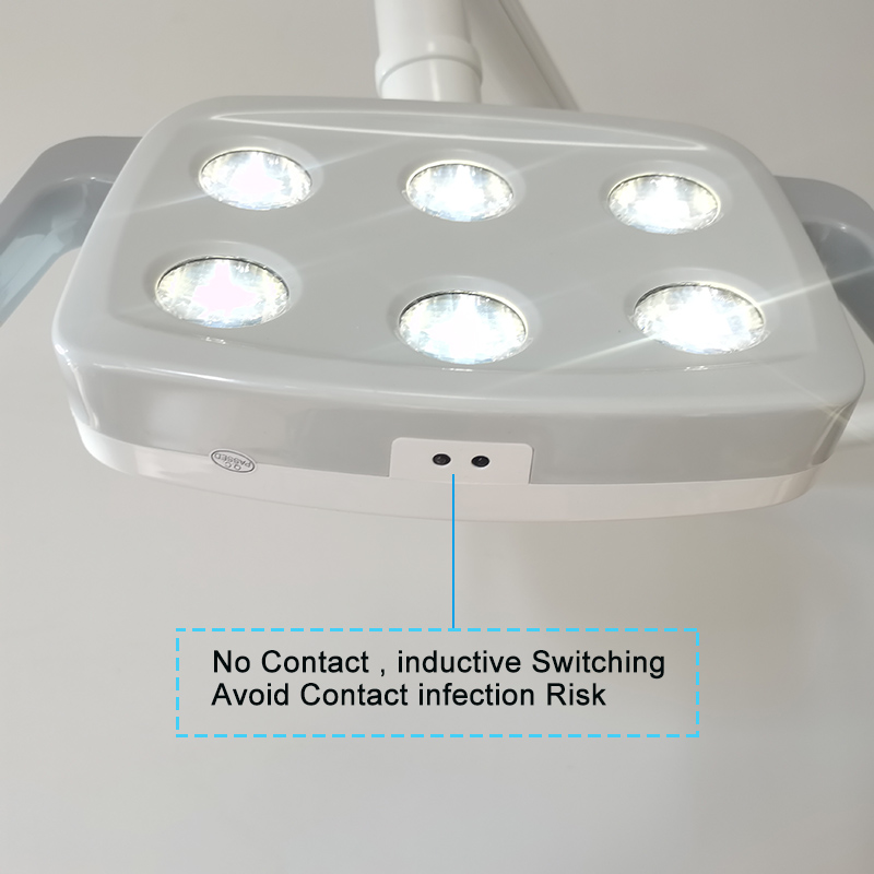 6LED Dental LED Lamp Oral Ligh - Teeth Whitening Led review and price