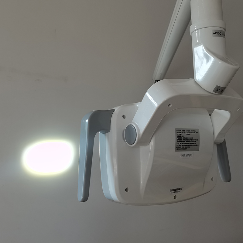 6LED Dental LED Lamp Oral Ligh - Teeth Whitening Led review and price